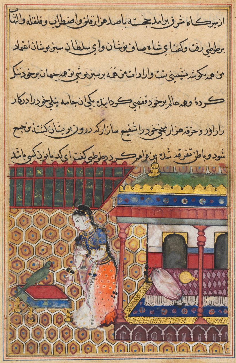 तोते की कहानी टुटी-नाम से पेज: अड़तीस की रात: तोता पत्ता खुजस्ता, c1560 को संबोधित करता है। द्वारा अज्ञात