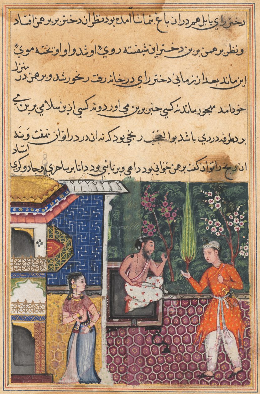 एक तोते की कहानियाँ टुटी-नाम से: तीसवीं रात: ब्राह्मण देता है ..., सी। 1560। द्वारा अज्ञात