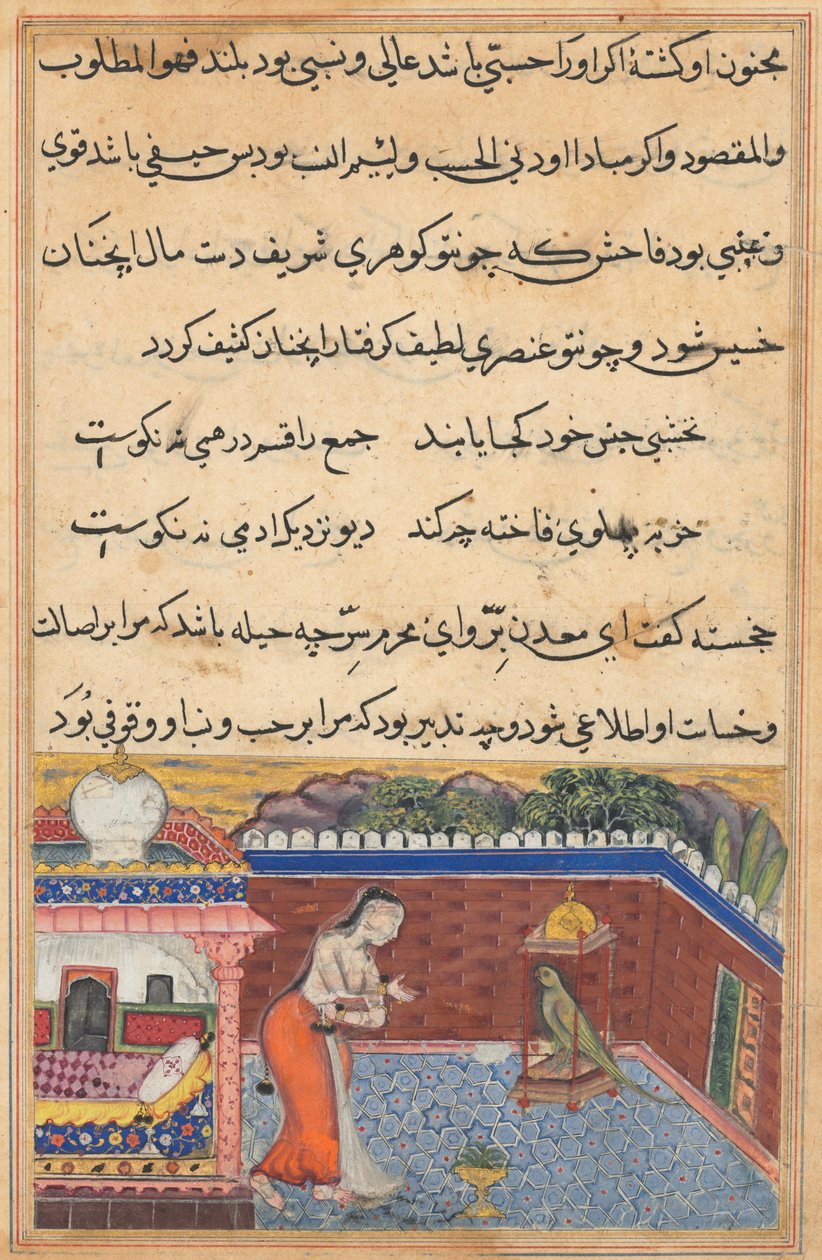 एक तोते की कहानियों से पेज टुटी-नामा: तीसवीं रात: तोता ..., 1558-1560। द्वारा अज्ञात