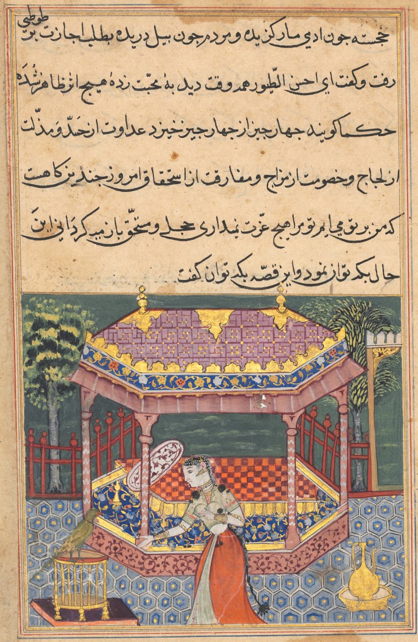 तोते की कहानियों से पृष्ठ टटी-नामा: तैंतीसवीं रात: तोता पत्ता खुजस्ता ..., सी 15 द्वारा अज्ञात