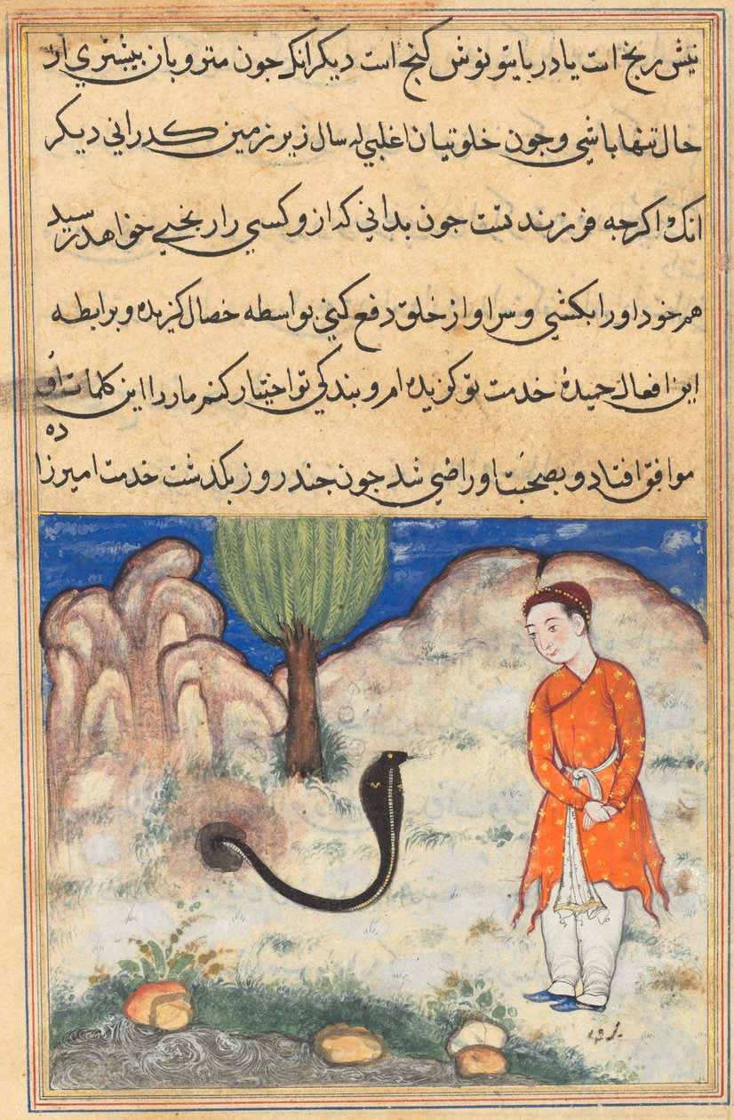 एक तोते की कहानियाँ टुटी-नाम से: तीसवीं रात: राजकुमार ..., सी। 1560। द्वारा अज्ञात