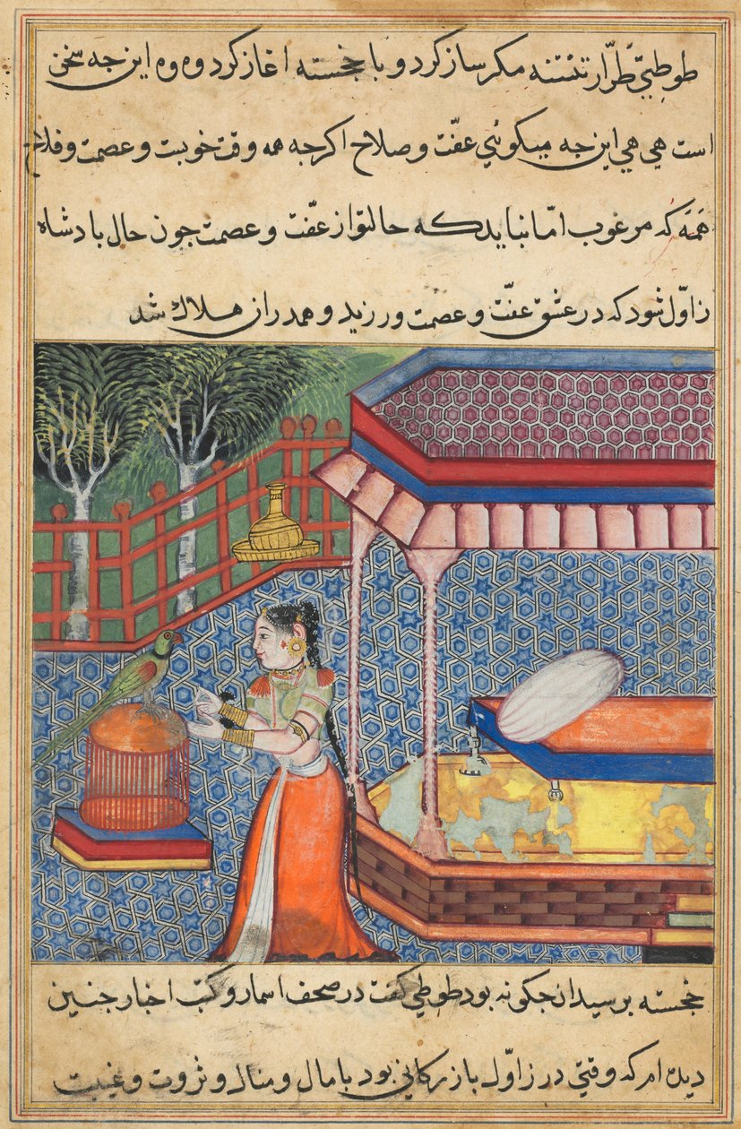 एक तोते की कहानियों से पेज टुटी-नामा: तीसवीं रात: तोता खुजस्ता ..., सी को संबोधित करता है। 15 द्वारा अज्ञात
