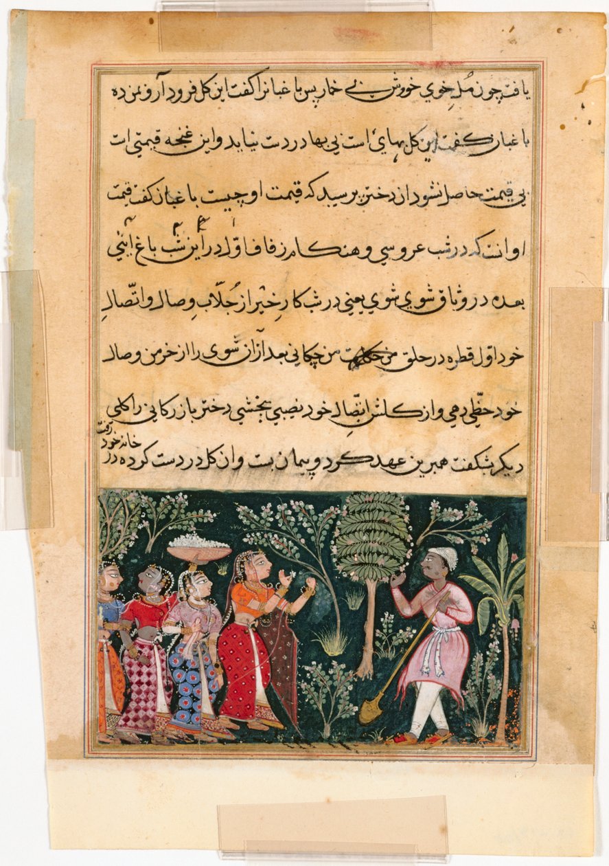 एक तोते की कहानियों से पृष्ठ तुति-नाम: बारहवीं रात: व्यापारी की बेटी ..., सी। 1560। द्वारा अज्ञात
