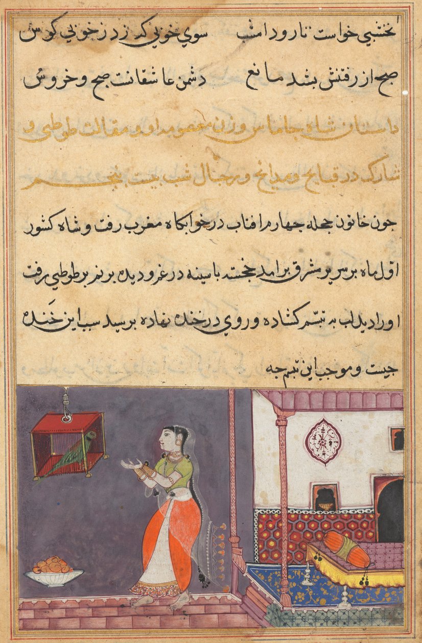 एक तोते की कहानियों से पृष्ठ टटी-नामा: पच्चीसवीं रात: तोता पत्ता खुजस्ता ..., c1560 द्वारा अज्ञात
