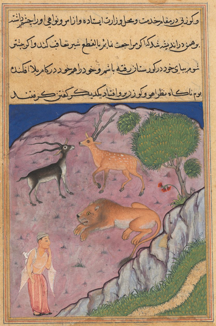 एक तोते की कहानियों से पृष्ठ टटी-नामा: इक्कीसवीं रात: ब्राह्मण ..., सी। 1560। द्वारा अज्ञात