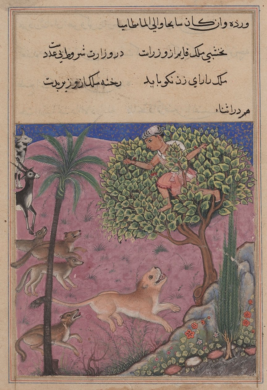 एक तोते की कहानियों से पृष्ठ तुति-नाम: इक्कीसवीं रात: भेड़िया और गीदड़ ..., सी। 1560। द्वारा अज्ञात