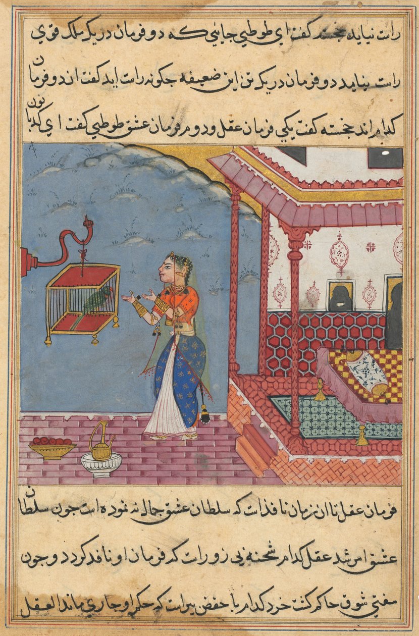 एक तोते की कहानियाँ टुटी-नाम से: बीसवीं रात: तोता ..., सी। 1560। द्वारा अज्ञात