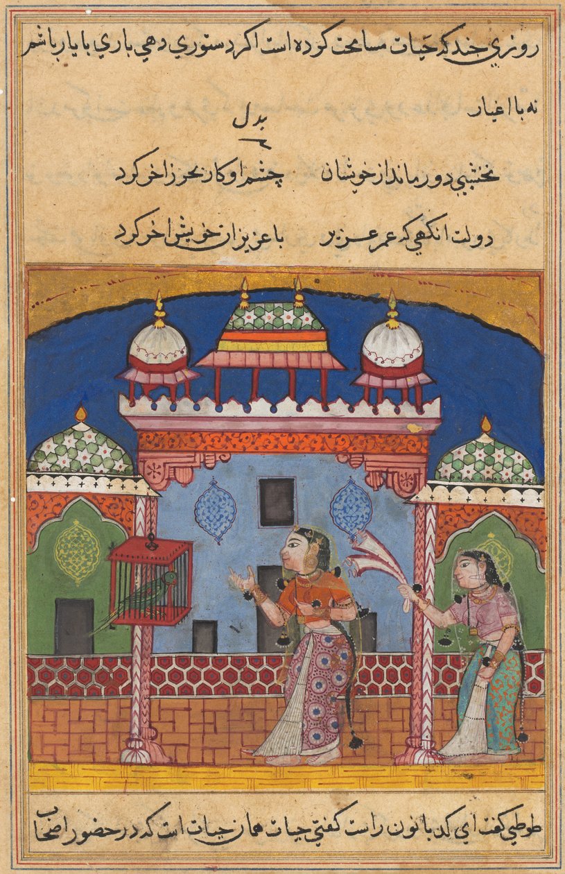 एक तोते की कहानियाँ टुटी-नाम से: बीसवीं रात: तोता पत्ता ..., सी। 1560। द्वारा अज्ञात