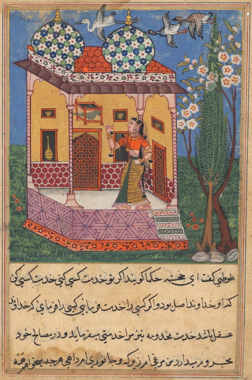 एक तोते की कहानियाँ टुटी-नाम से: छब्बीसवीं रात: तोता पत्ता खुजस्ता ..., C1560 द्वारा अज्ञात