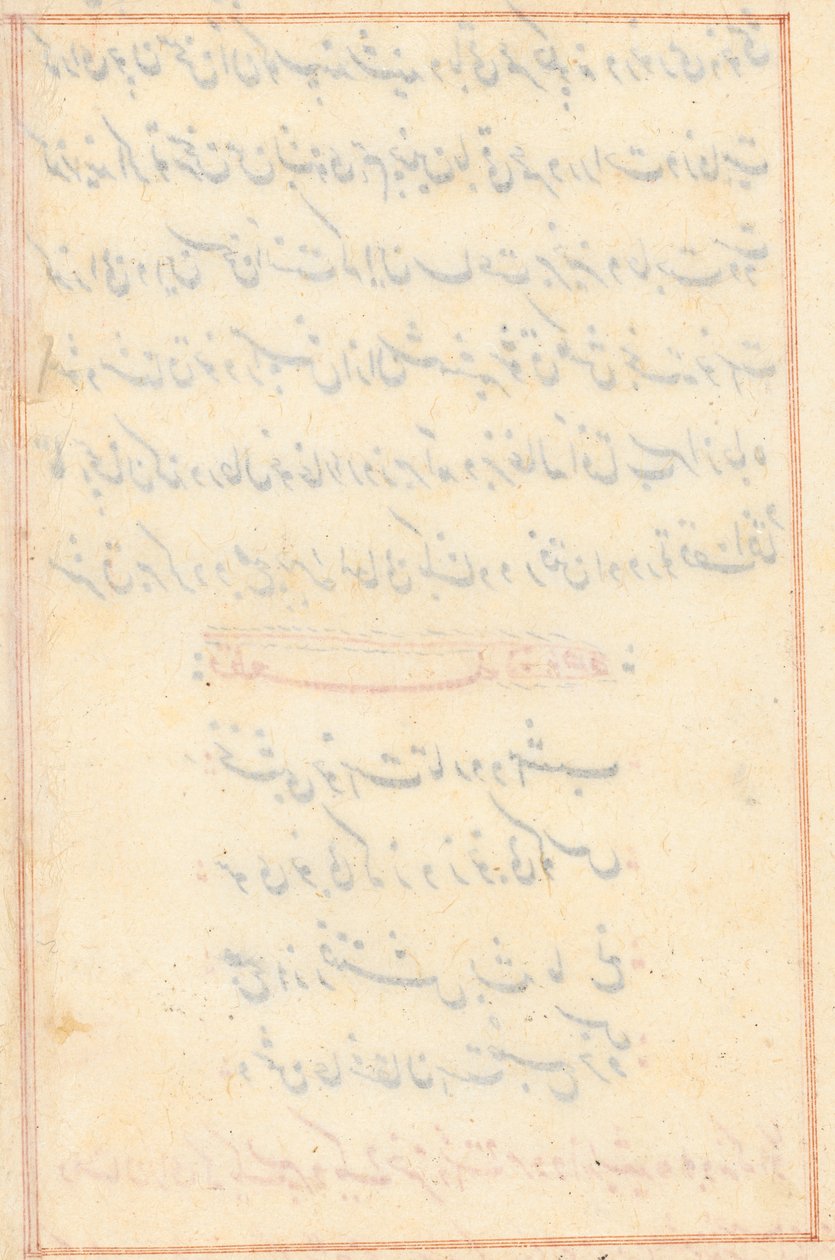एक तोता तूती-नामा के किस्से से पृष्ठ: पाठ पृष्ठ रिक्त, सी। 1560. द्वारा अज्ञात