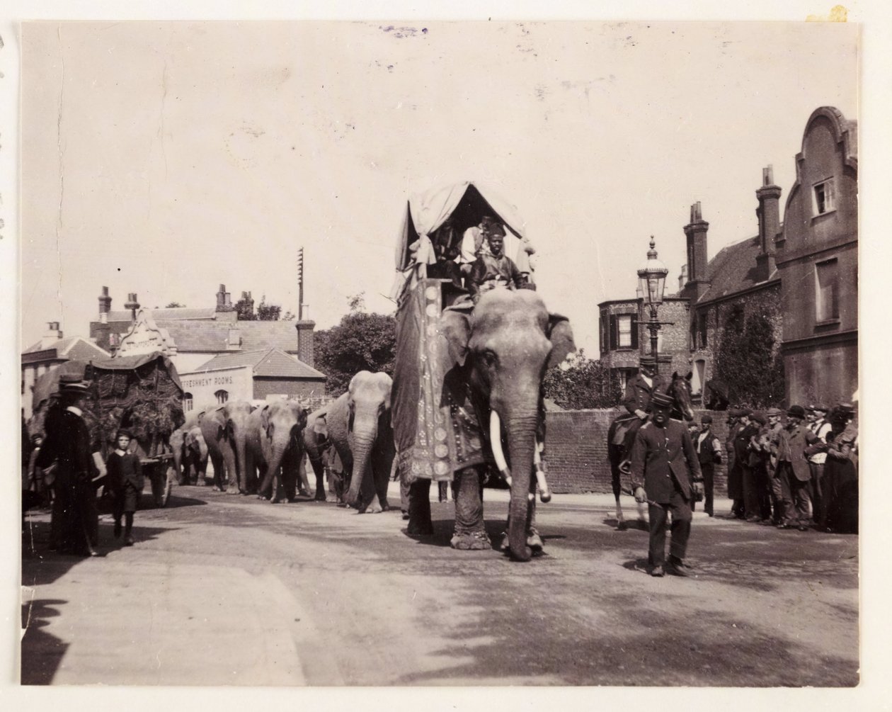 हाथियों की परेड, c 1905 द्वारा अज्ञात