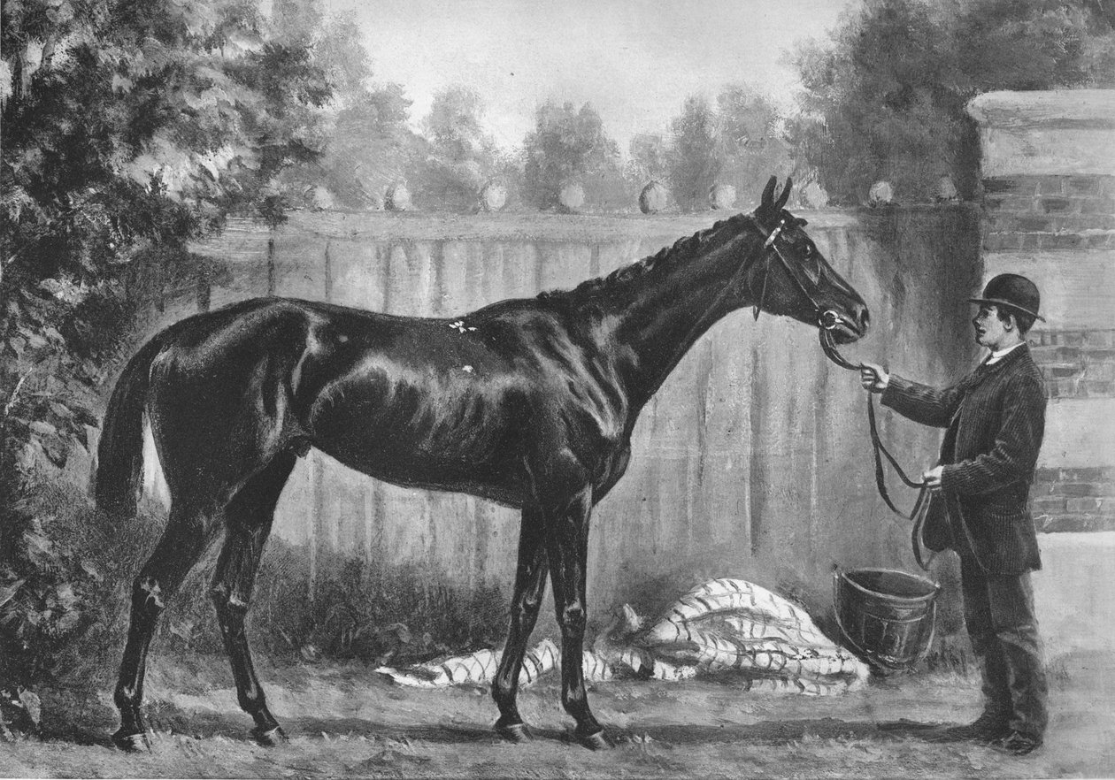 विरोधाभास, 1882-1890, 1911 द्वारा अज्ञात