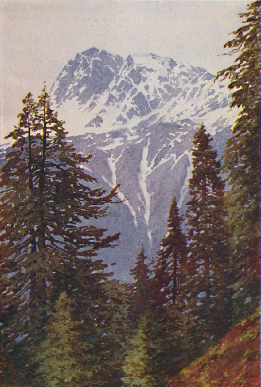 हिमालय में चोटी, 1924 द्वारा अज्ञात