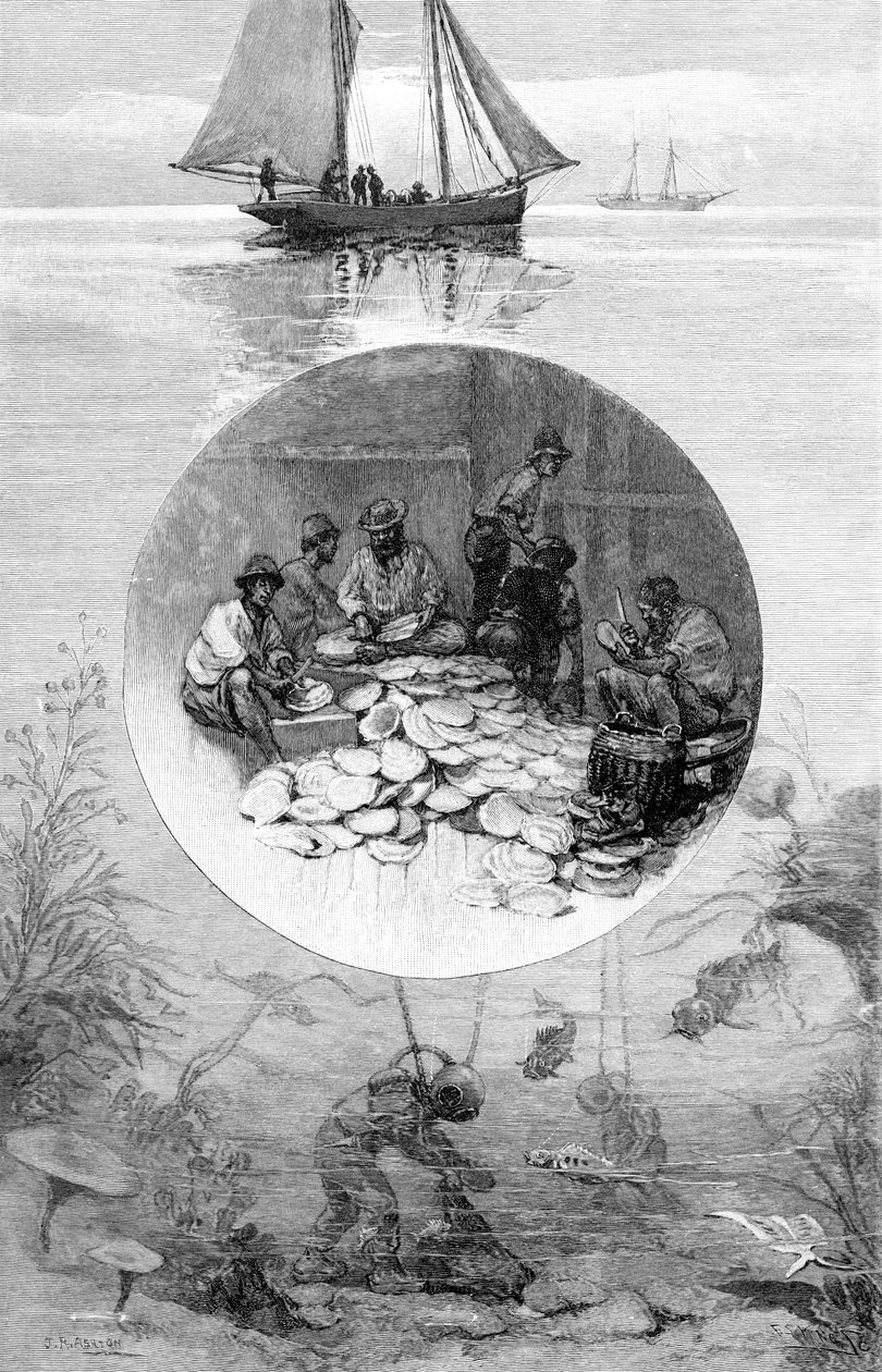 पर्ल फिशरी, टोरेस स्ट्रेट, ऑस्ट्रेलिया, 1886 द्वारा अज्ञात