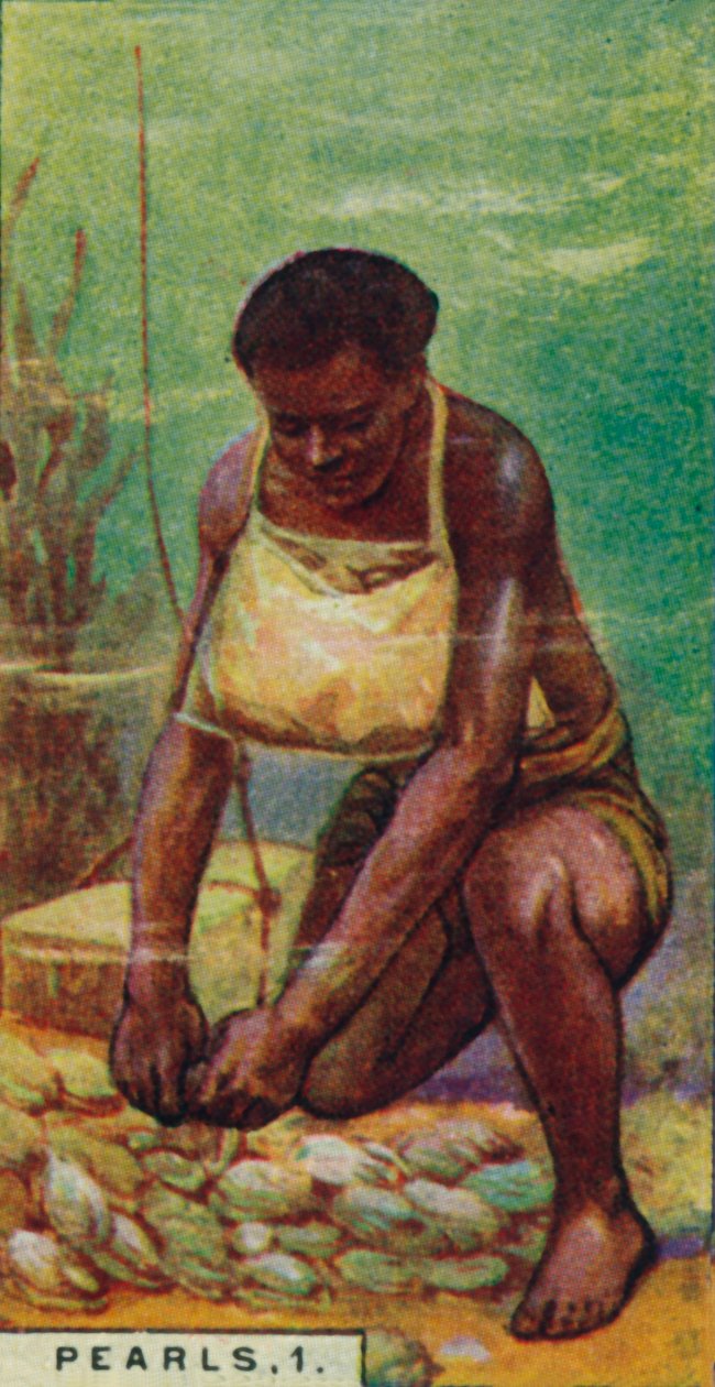 मोती 1. काम पर मूल निवासी गोताखोर, सीलोन, 1928 द्वारा अज्ञात