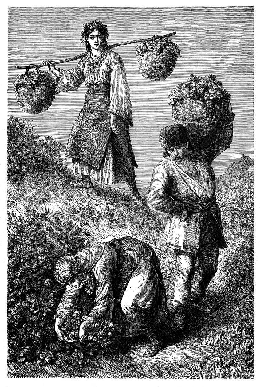 रमेलिया में किसानों का जमावड़ा, c1890 द्वारा अज्ञात
