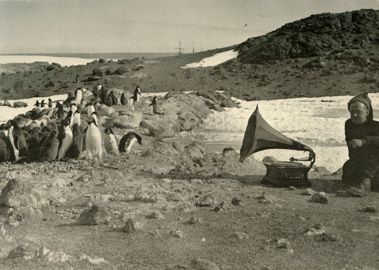 गर्मियों के दौरान ग्रामोफोन सुनते हुए पेंगुइन, 1908, 1909 द्वारा अज्ञात