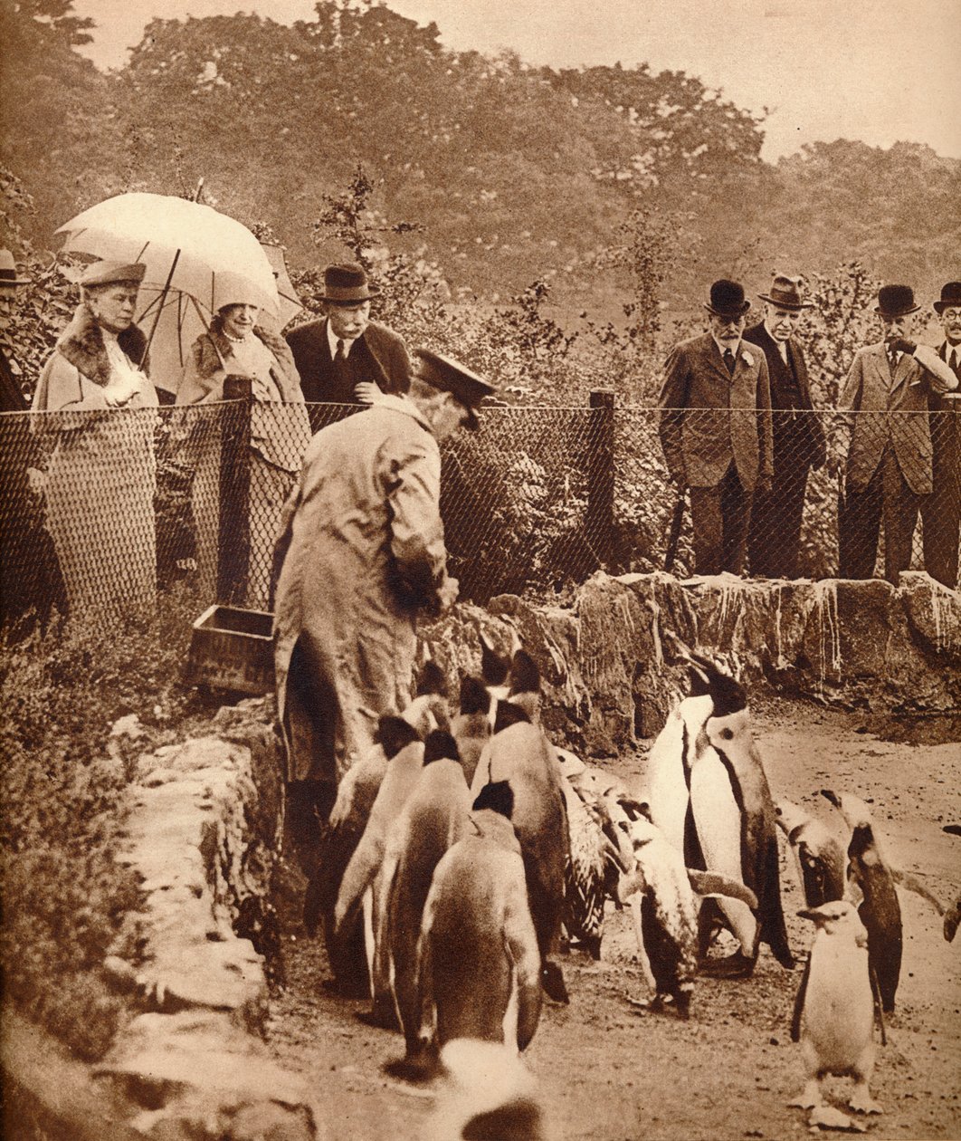 किंग, 1934 1935 के लिए परेड पर पेंगुइन द्वारा अज्ञात
