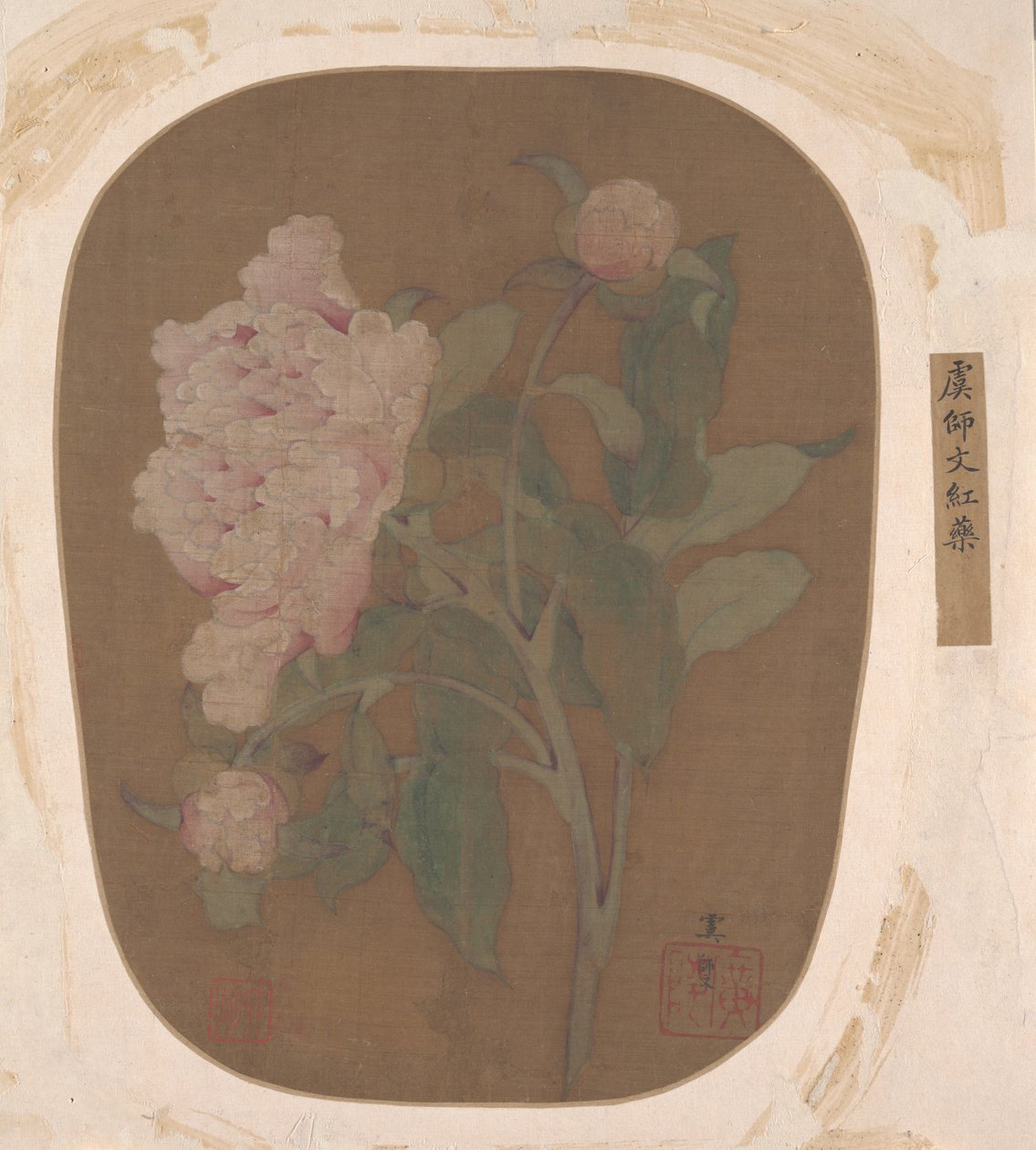 Peony फूल और पत्तियां। द्वारा अज्ञात
