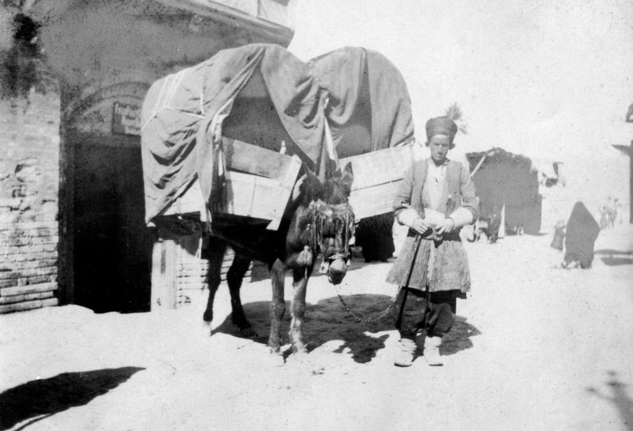 फ़ारसी गधा परिवहन, बगदाद, इराक, 1917-1919 द्वारा अज्ञात