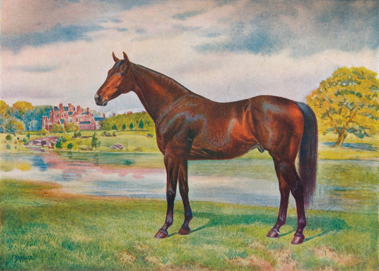 पर्सिमोन, c1905 c1910 द्वारा अज्ञात