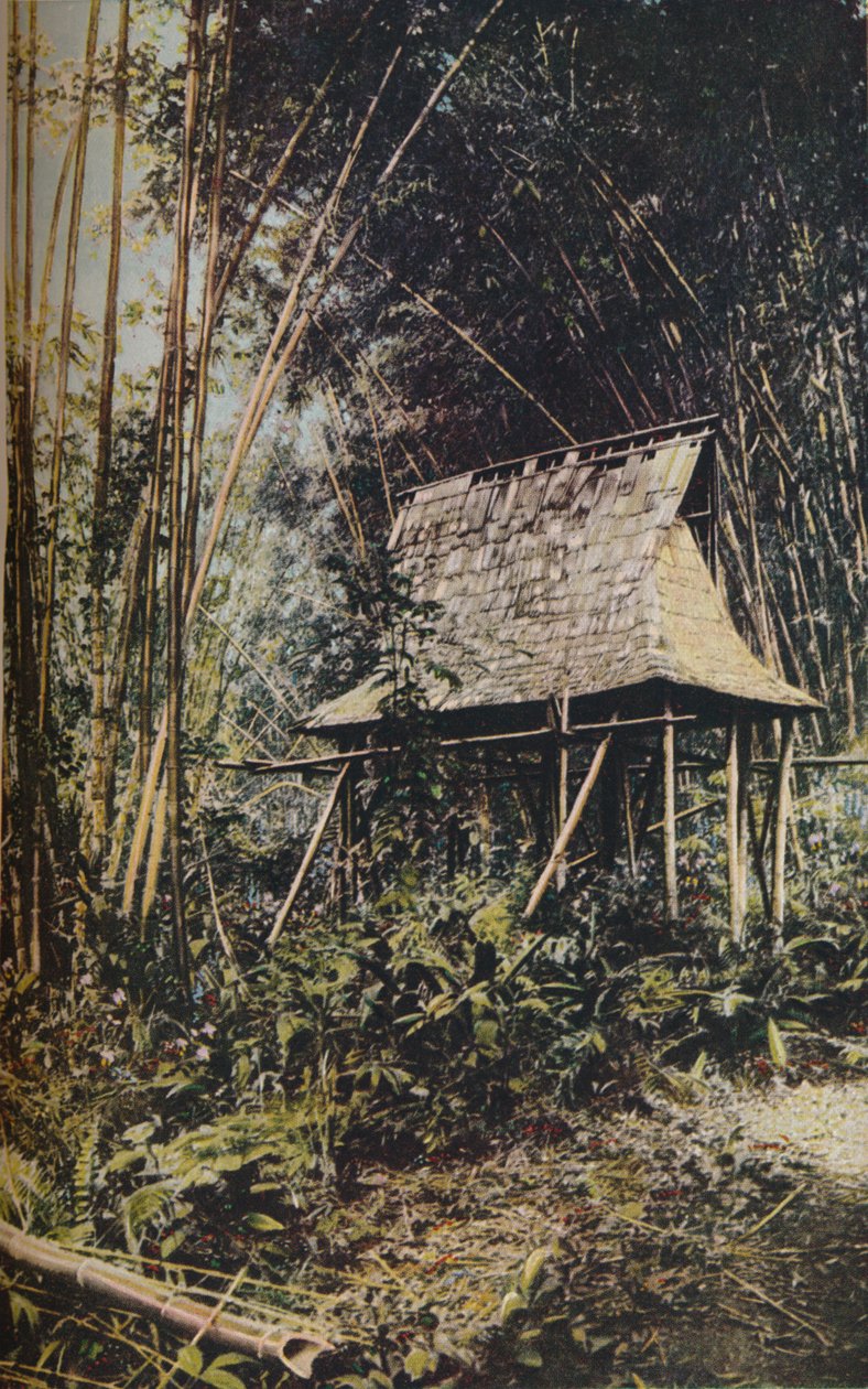 फिलीपीन द्वीप समूह, c1930s द्वारा अज्ञात