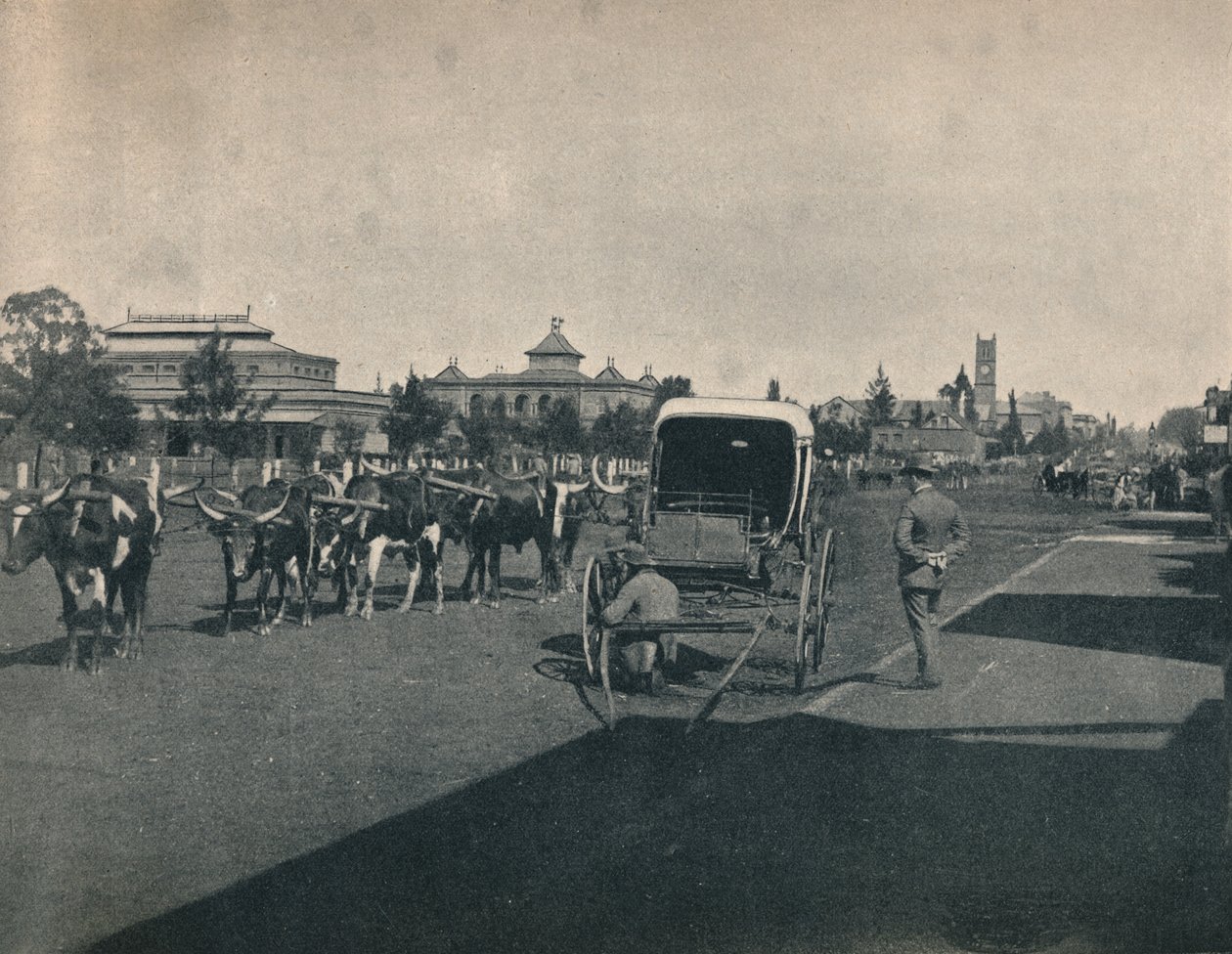 पीटरमैरिट्सबर्ग, c1900। द्वारा अज्ञात