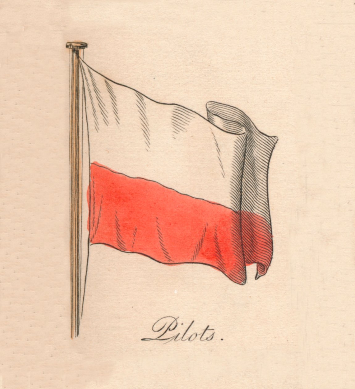 पायलट, 1838 द्वारा अज्ञात