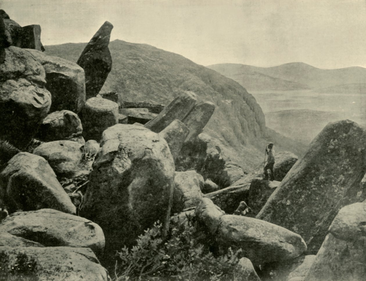 शिखर और अंग पाइप, माउंट वेलिंगटन, 1901। द्वारा अज्ञात