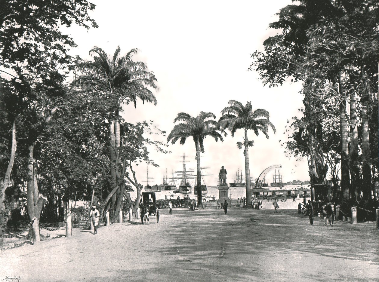 प्लेस डी&39;अर्म्स, पोर्ट लुई, मॉरीशस, 1895। द्वारा अज्ञात