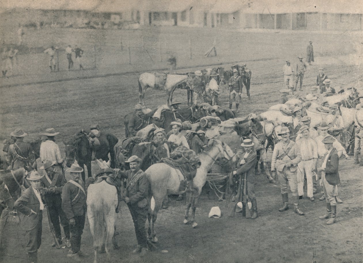 प्लमर्स हॉर्स, c1900। द्वारा अज्ञात