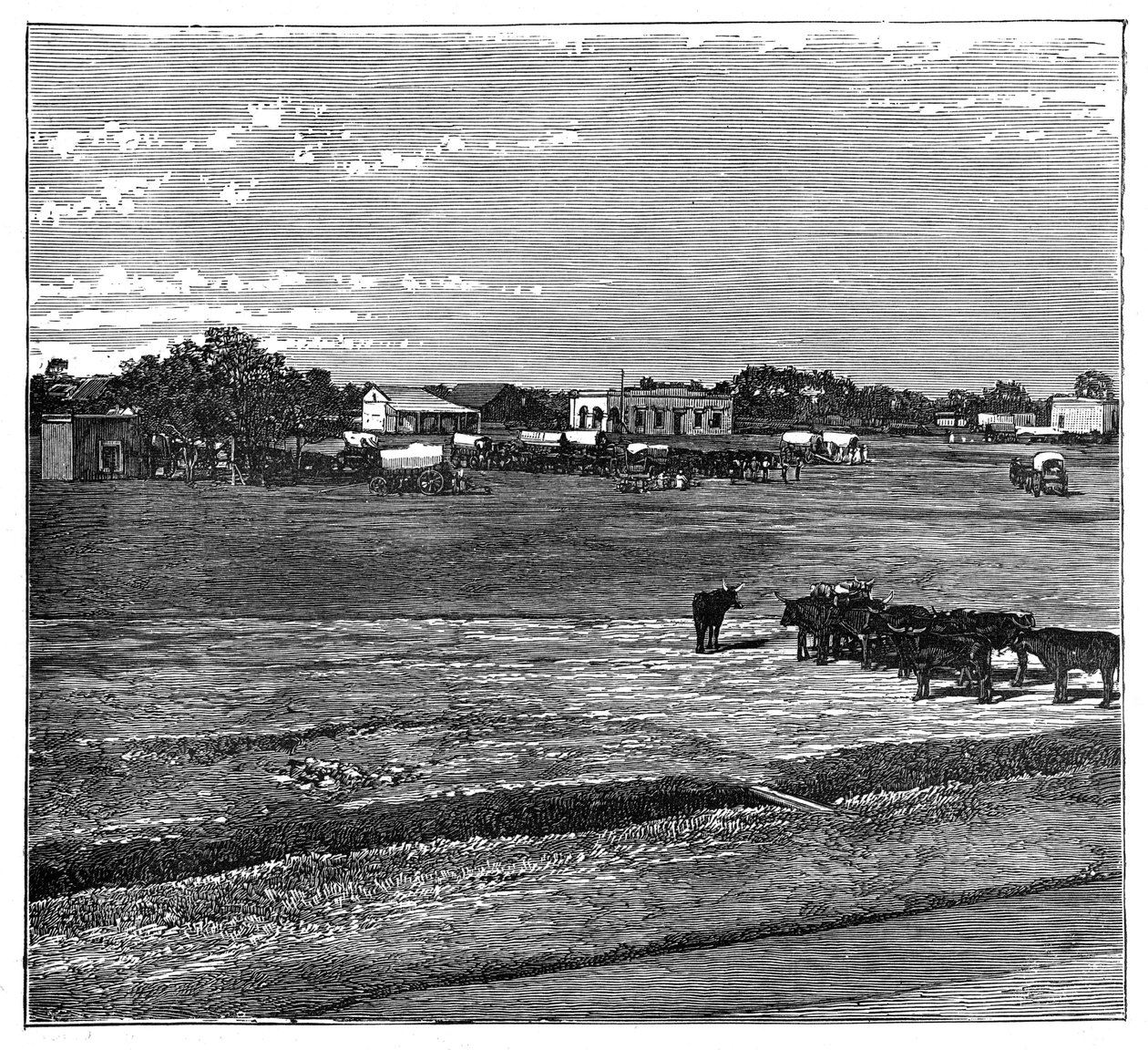 पोटचेफस्ट्रूम, द ट्रांसवाल, साउथ अफ्रीका, c1890 द्वारा अज्ञात