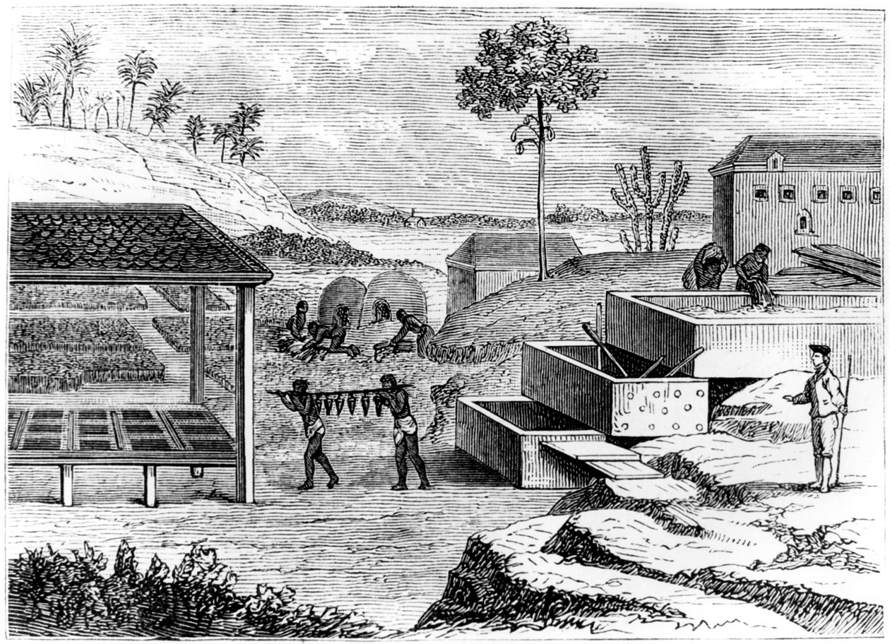 इंडिगो, सेंटो डोमिंगो, 1873 तैयार करना द्वारा अज्ञात