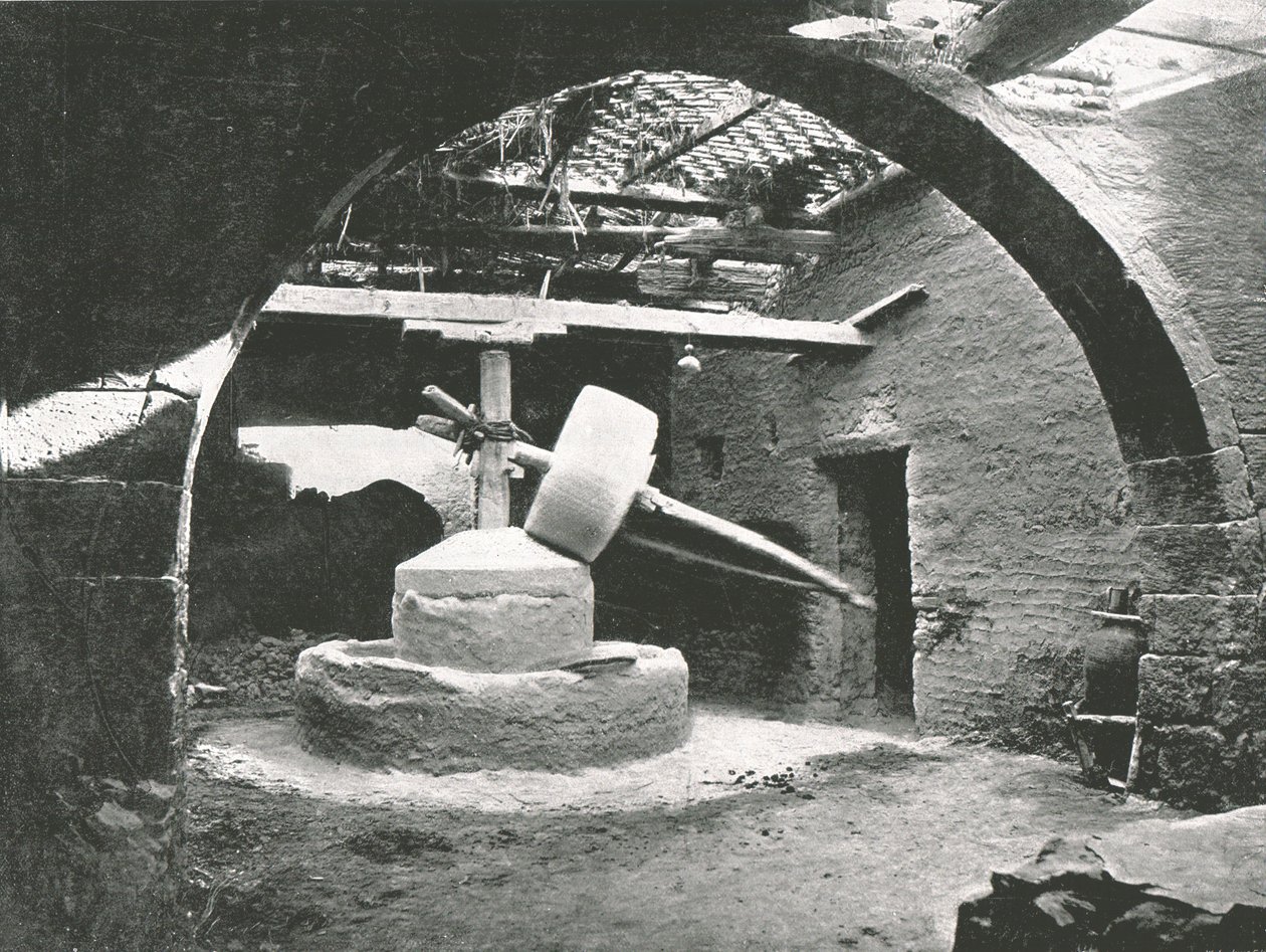 आदिम मकई-मिल, नील डेल्टा, मिस्र, 1895। द्वारा अज्ञात