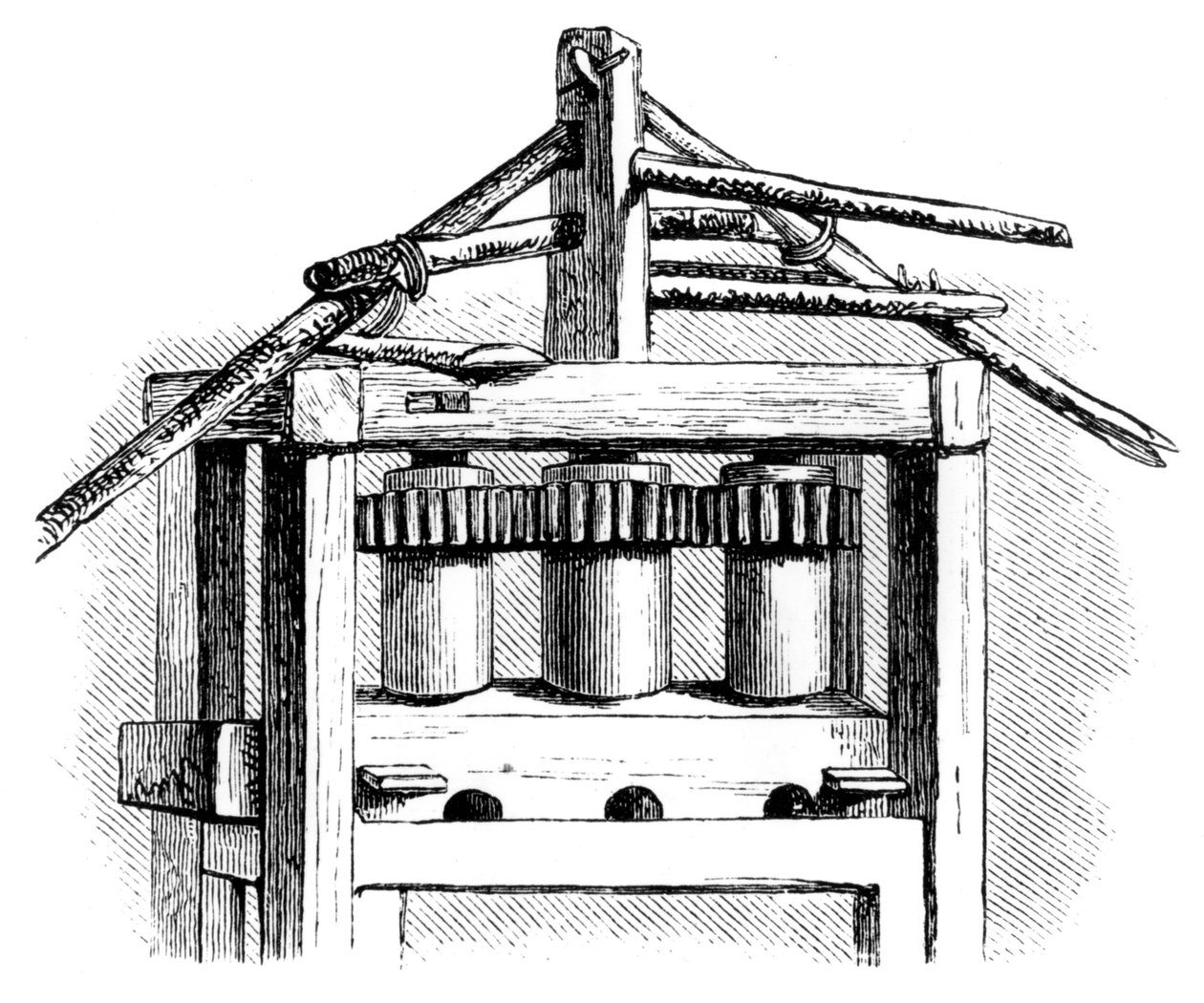 आदिम चीनी मिल, सेंटो डोमिंगो, 1873 द्वारा अज्ञात