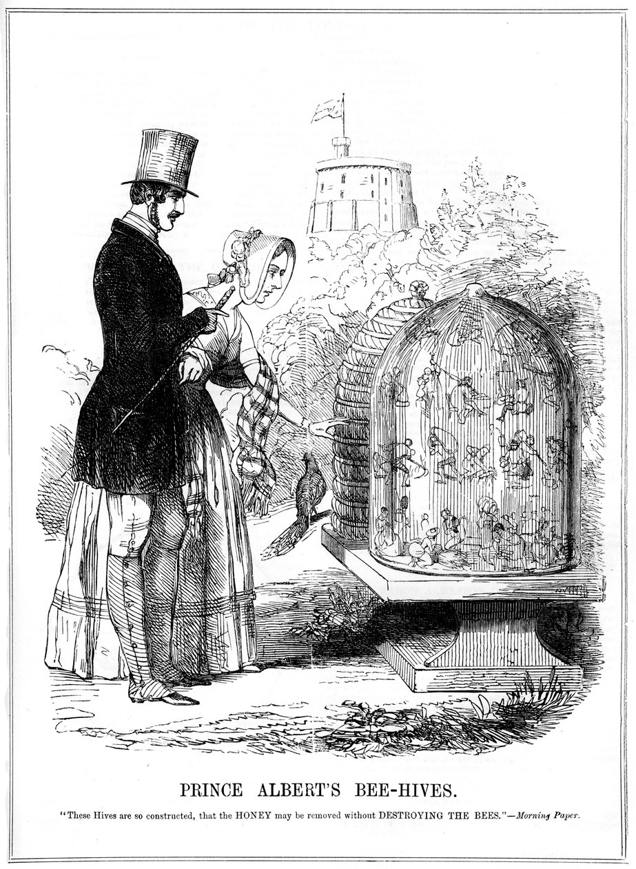प्रिंस अल्बर्ट्स बी-हाइव्स, 1843 द्वारा अज्ञात