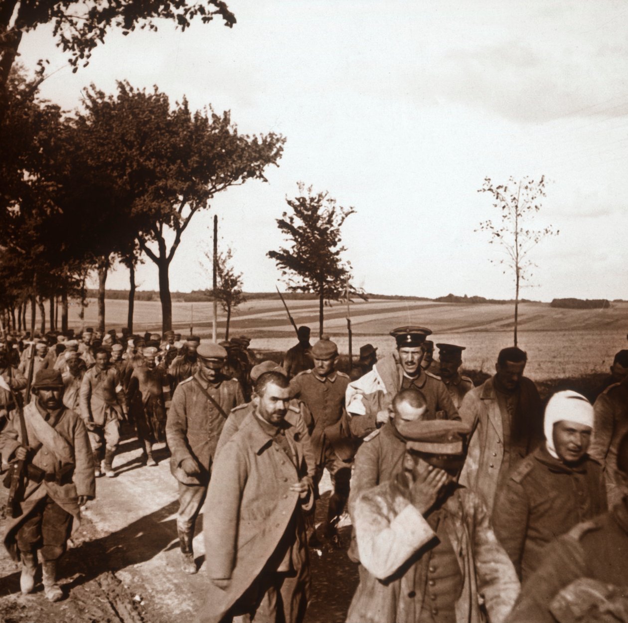 कैदी, शैम्पेन, उत्तरी फ्रांस, c1914-c1918 द्वारा अज्ञात