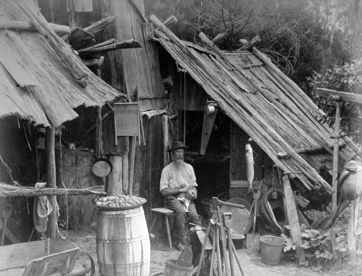 प्रोस्पेक्टर, गिप्सलैंड, विक्टोरिया, ऑस्ट्रेलिया, 1886 द्वारा अज्ञात