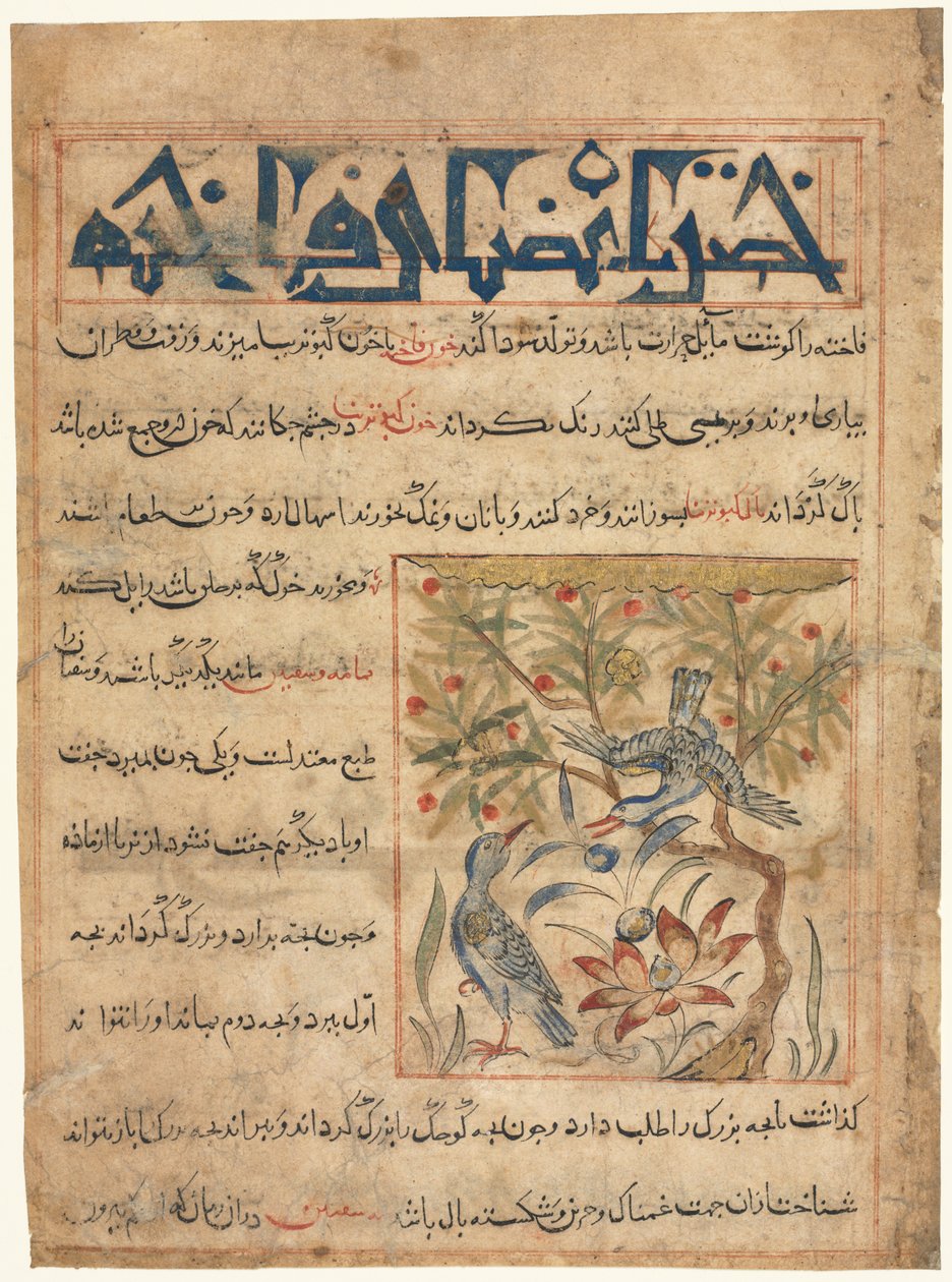 Ringdoves के गुण एक Manafi अल-हैवान जानवरों की उपयोगिता पर, सी। 1300। द्वारा अज्ञात