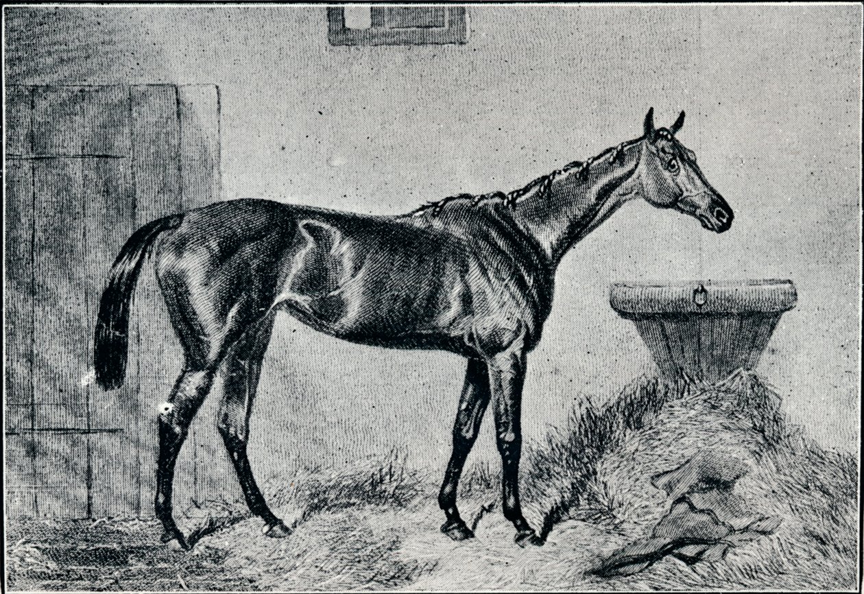 क्वीन बर्था, 19 वीं सदी, 1911 द्वारा अज्ञात