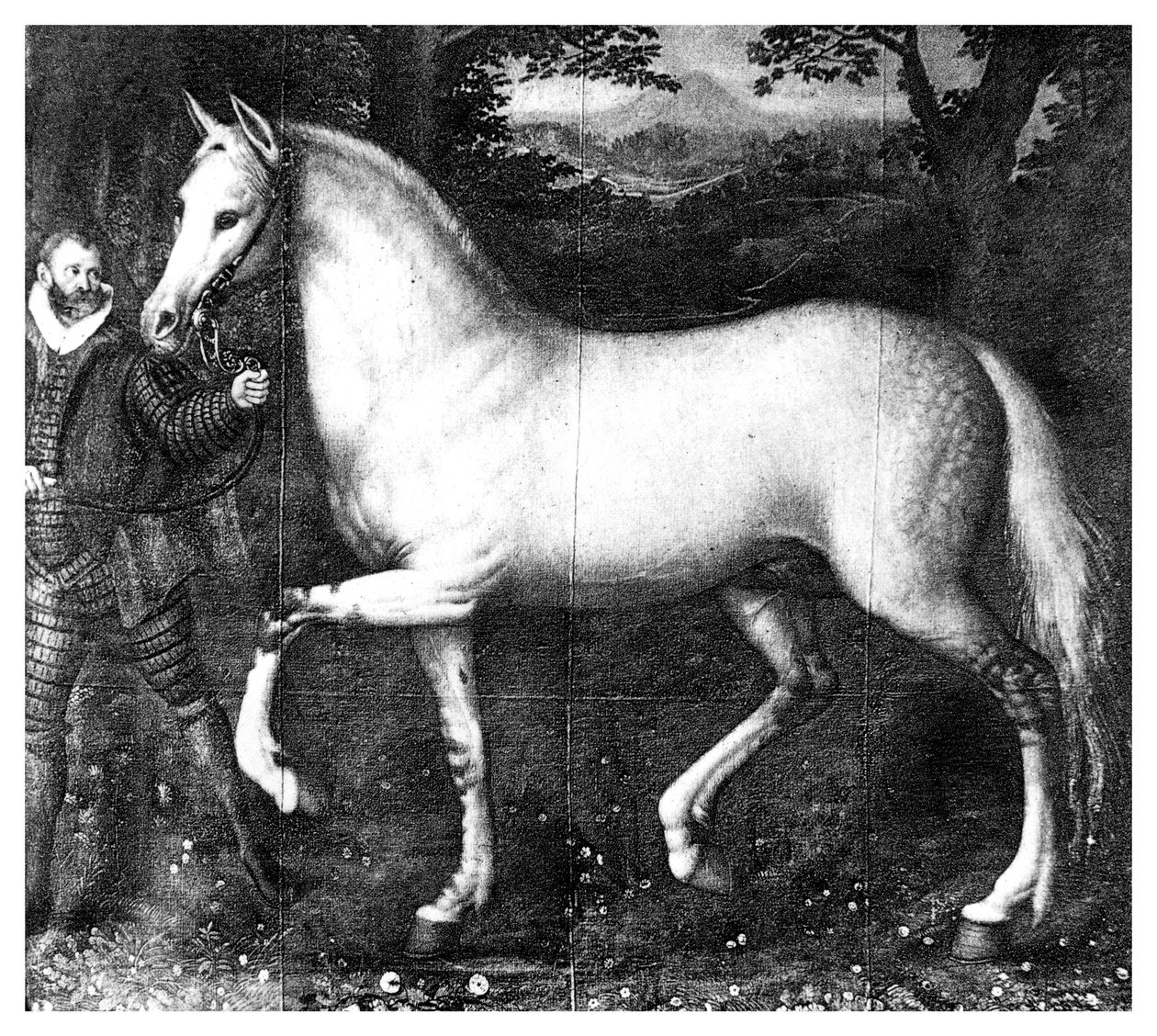 क्वीन एलिजाबेथ इज़ हॉर्स, 1896 द्वारा अज्ञात