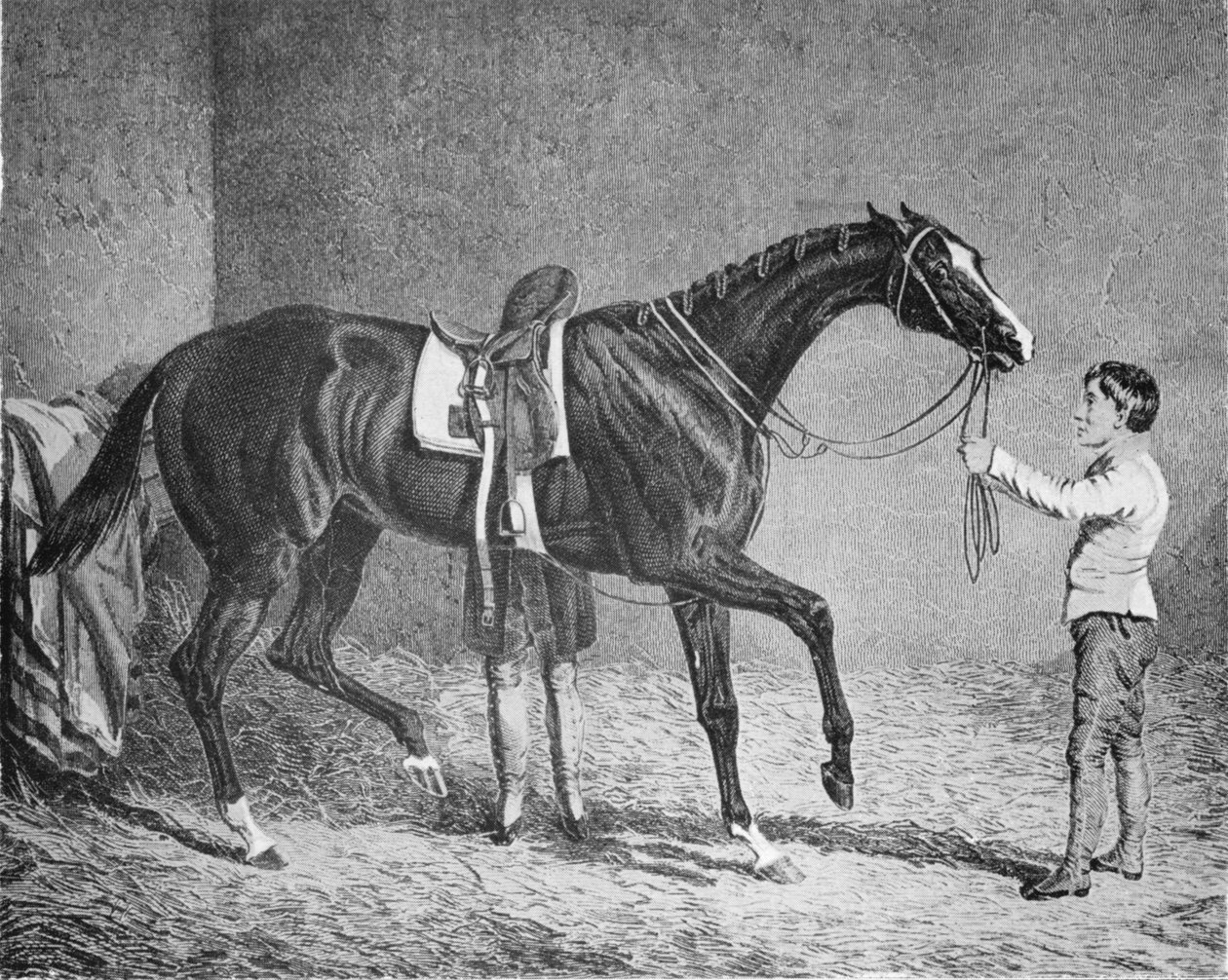 ट्रम्प्स की रानी, 1832-1843, 1911 द्वारा अज्ञात