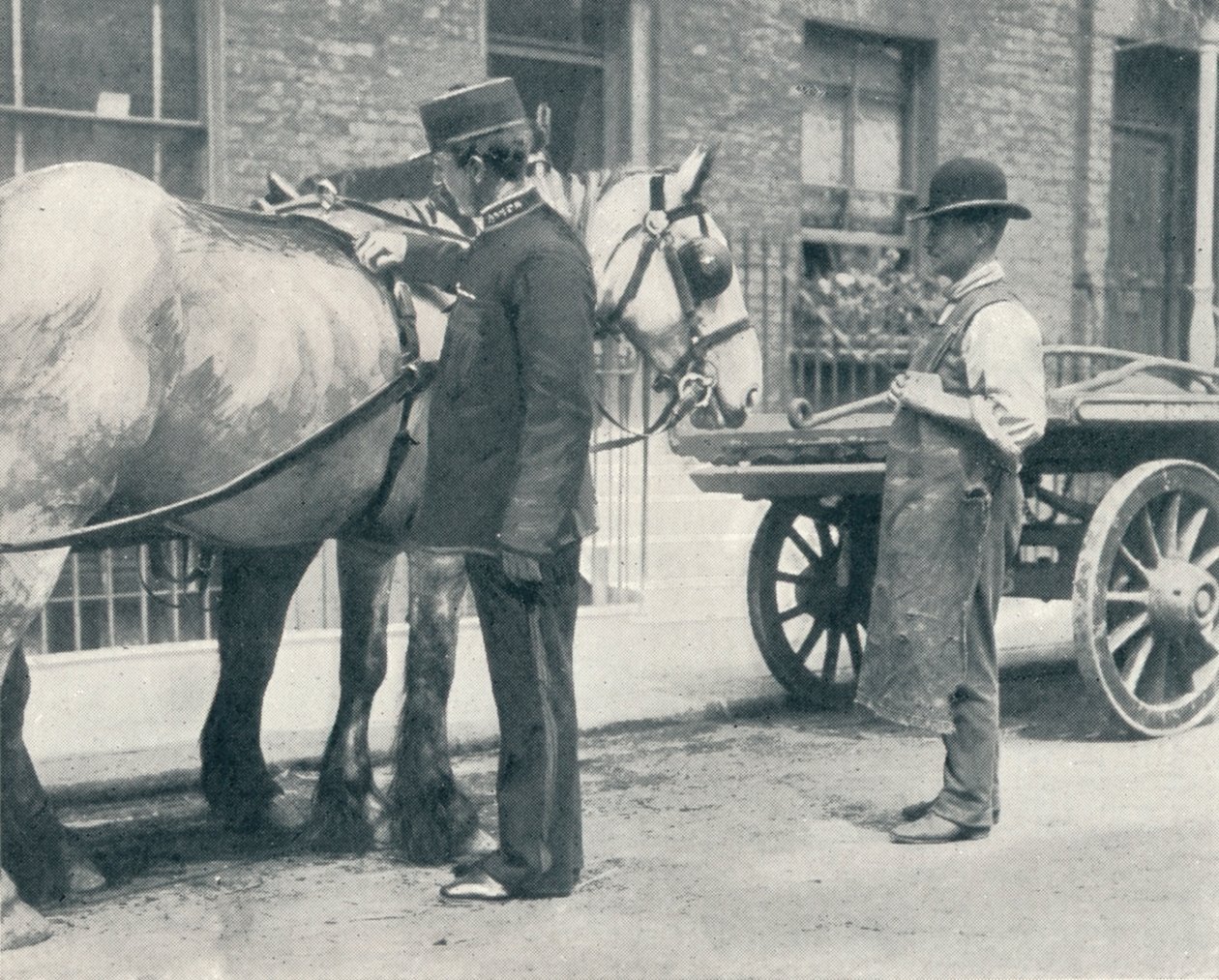 RSPCA इंस्पेक्टर एक घोड़े की जांच करते हुए, c1903 1903 द्वारा अज्ञात