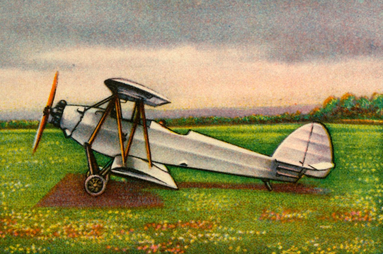 राब-काटज़ेंस्टीन आरके.9 ग्रासुम्के विमान, 1920, 1932। द्वारा अज्ञात