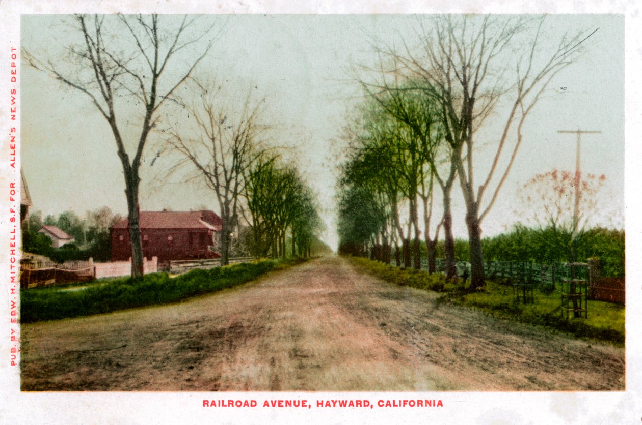 रेलमार्ग एवेन्यू, हेवर्ड, कैलिफोर्निया, 1905 द्वारा अज्ञात