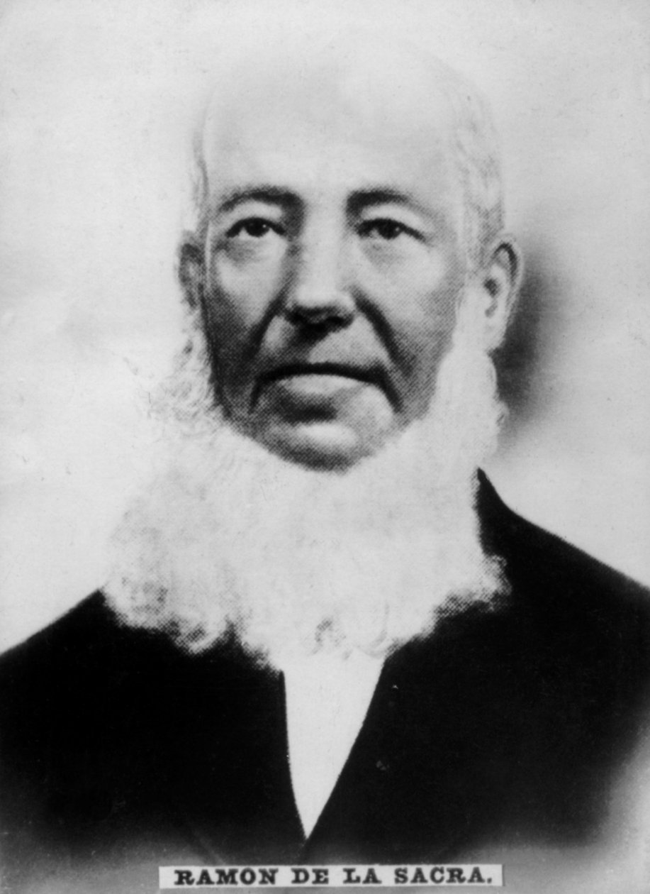 रेमन डे ला सैकरा, 1798-1871, 1920 द्वारा अज्ञात