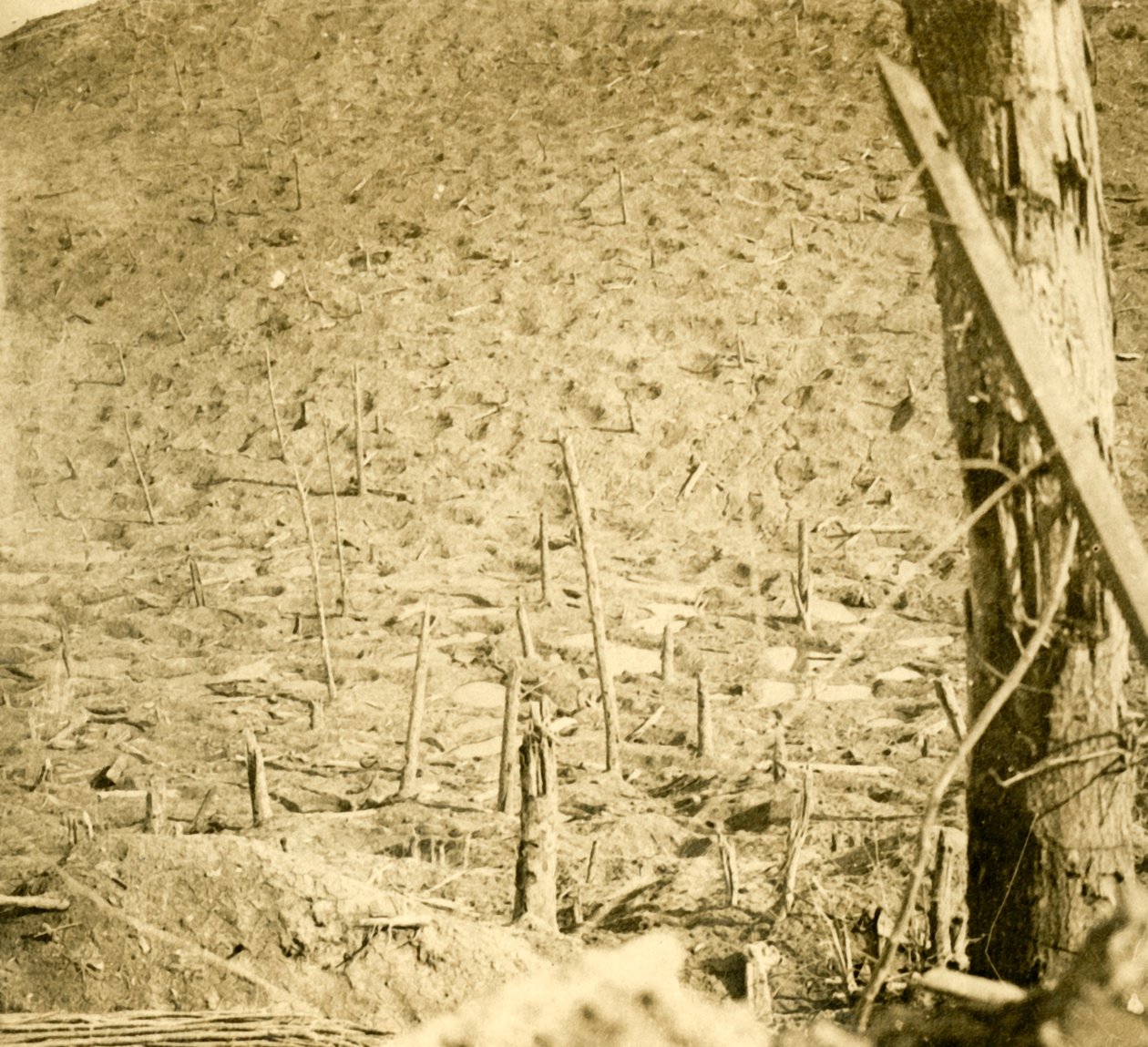 Les gesparges, उत्तरी फ्रांस में रविन, c1914-c1918। द्वारा अज्ञात