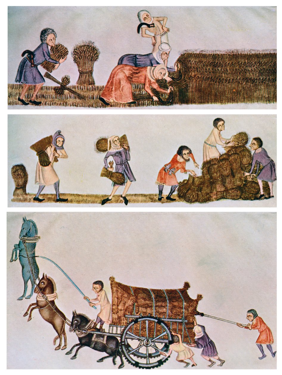 रीपिंग, कैरी और कार्टिंग, c1300-1340, c1900-1920 द्वारा अज्ञात