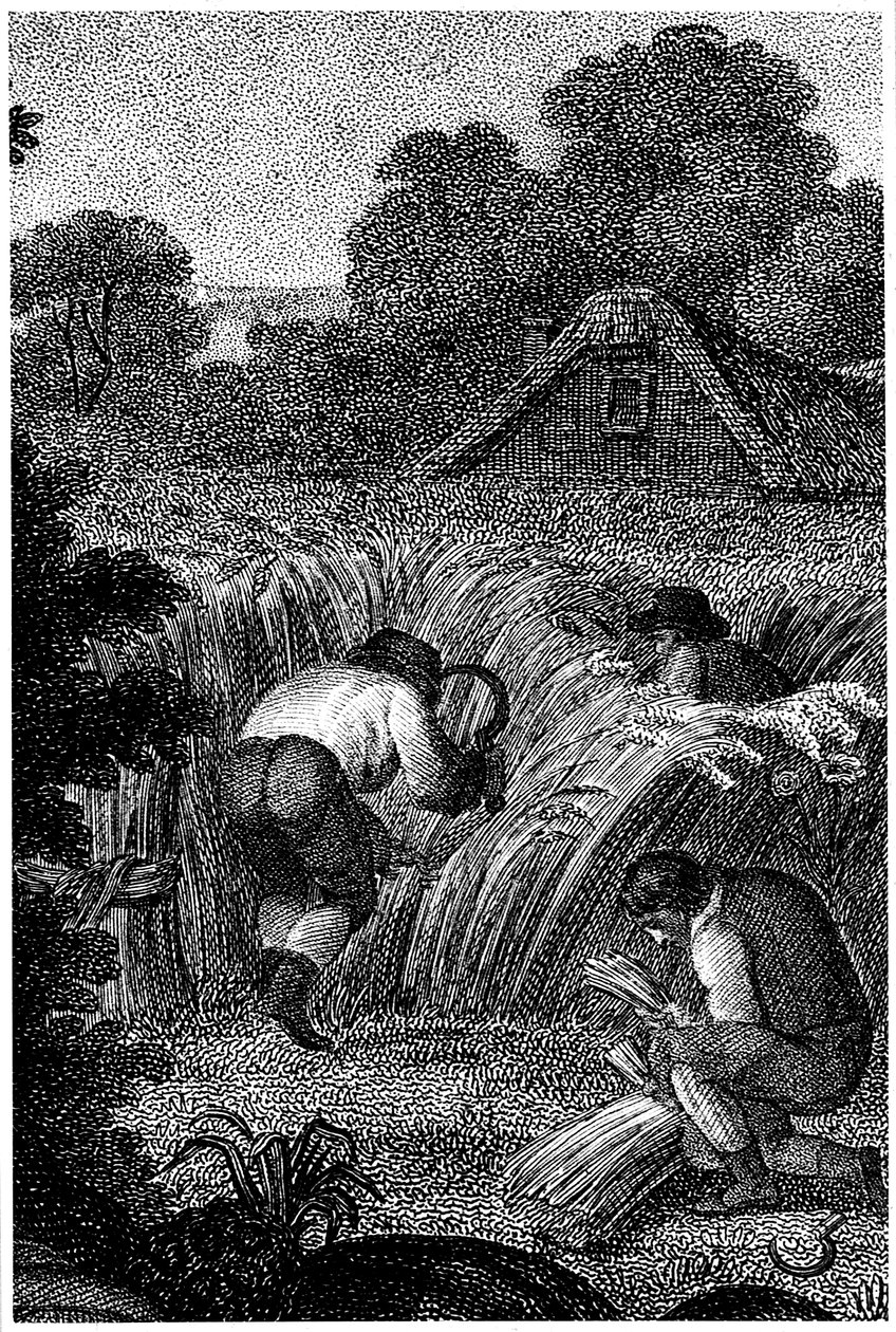 दाद के साथ काटना और शीशों को बांधना, इंग्लैंड, c1800 द्वारा अज्ञात