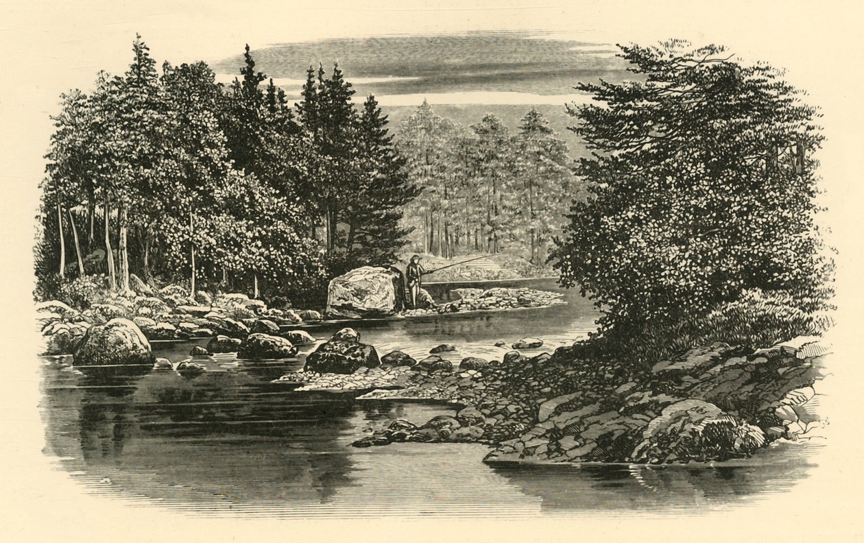 रिवर सीन, लैंगडेल, c1890। द्वारा अज्ञात